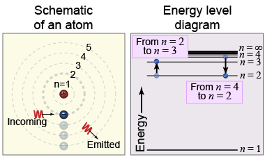 Energy levels of the hydrogen atom